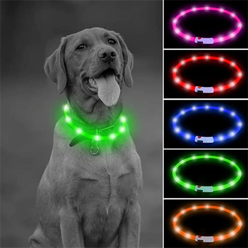 Collier lumineux chien- COOYOMOO