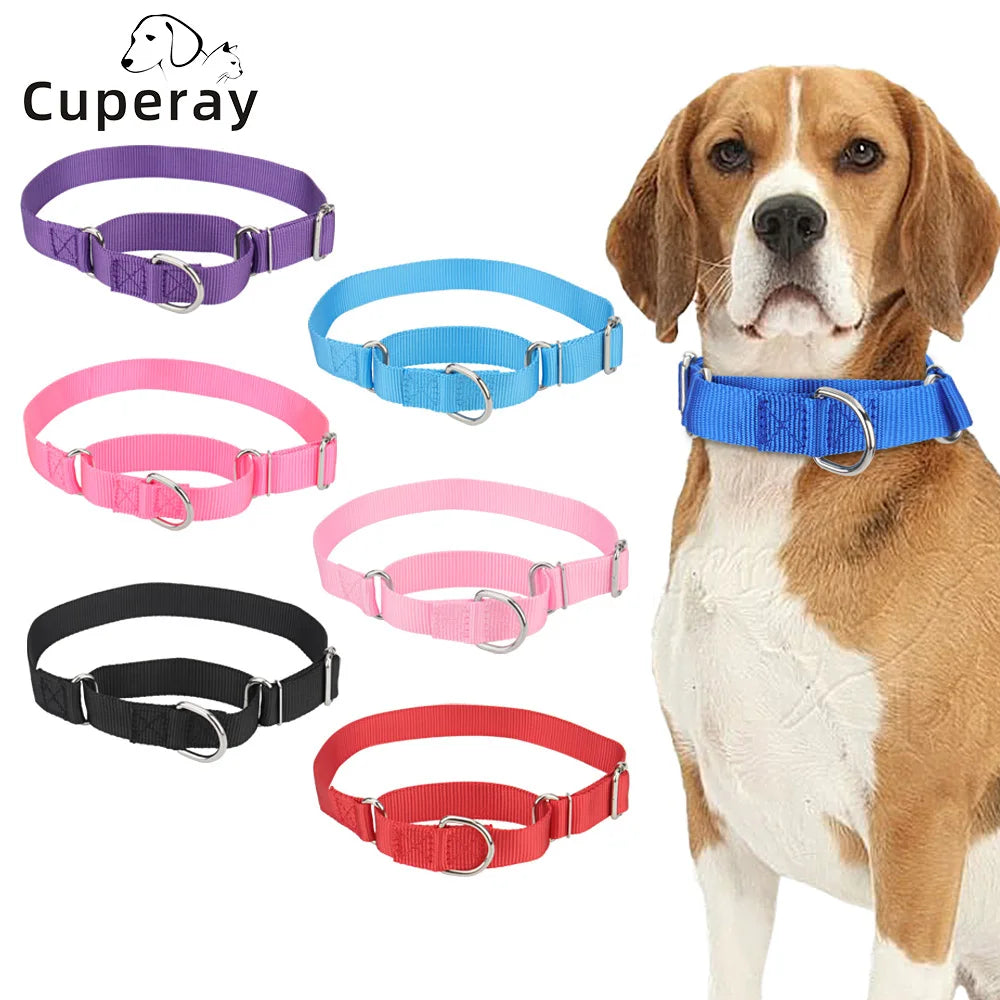 Collier de dressage pour chien- Martingale Plus