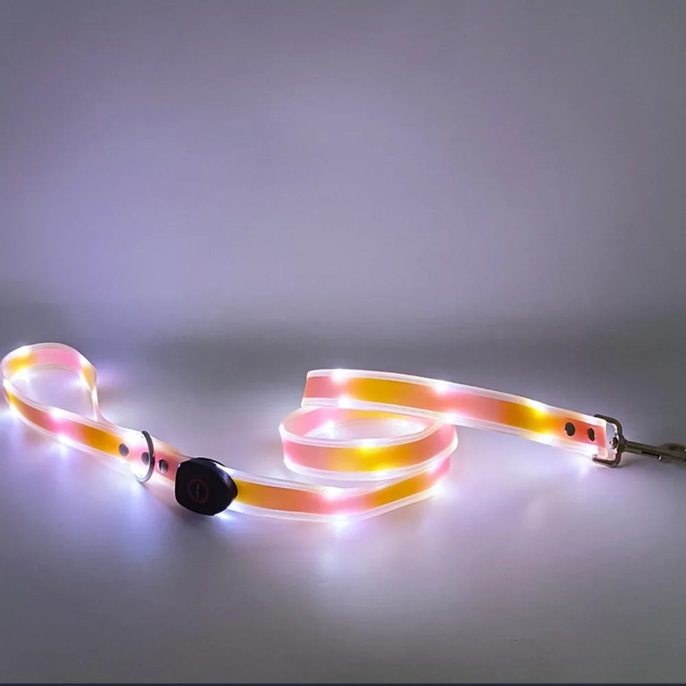 Collier lumineux pour chien | NightGuard
