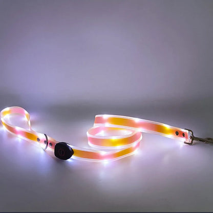 Collier lumineux pour chien | NightGuard