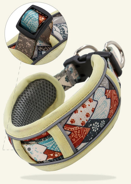 Collier de dressage pour chien- Confortable Extensible