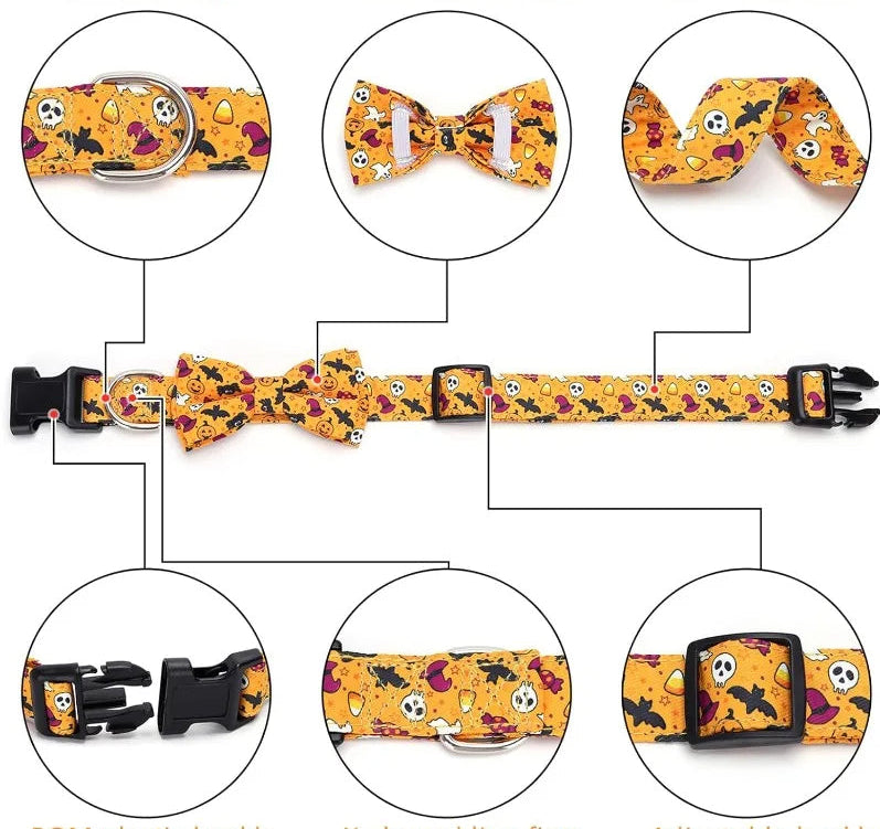 collier chien | Halloween Festif