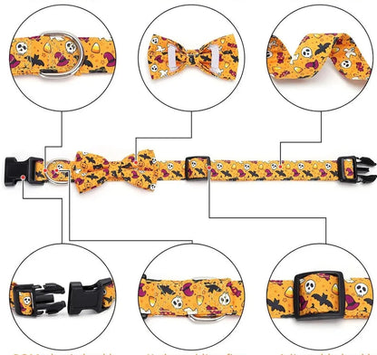 collier chien | Halloween Festif
