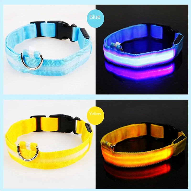 Collier lumineux chien- COOYOMOO