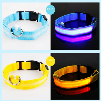 Collier lumineux chien- COOYOMOO
