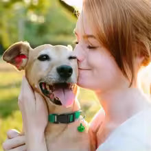 Collier anti puce chien | Protection Confort Vert