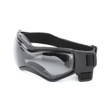 Lunettes pour chien | Protection UV Style
