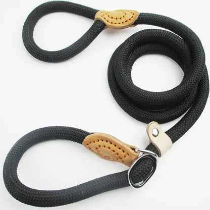 Laisse pour chien- P Chain Dog Leash Slip Collar