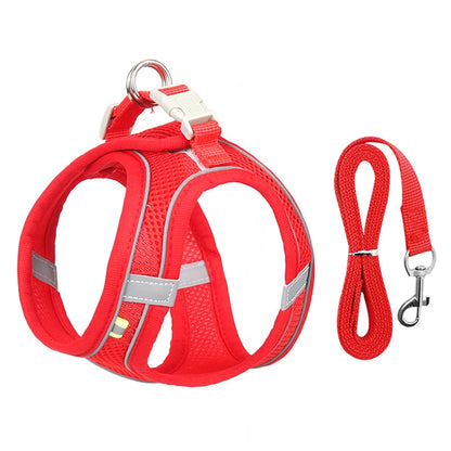 Harnais chien- CDDMPET Set Outdoor