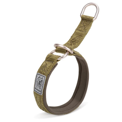 Collier de dressage pour chien- TRUELOVE P-chain