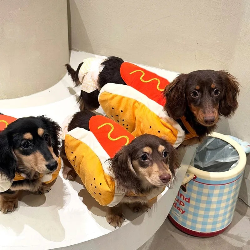 Déguisement chien Hot-Dog