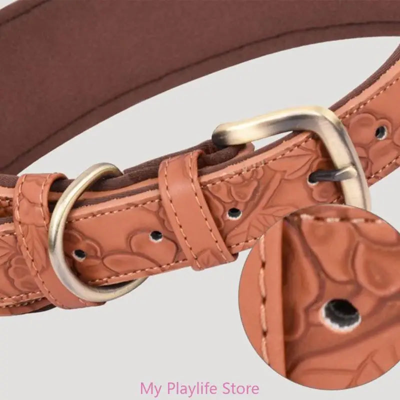 Collier chien cuir | Élégance Confort