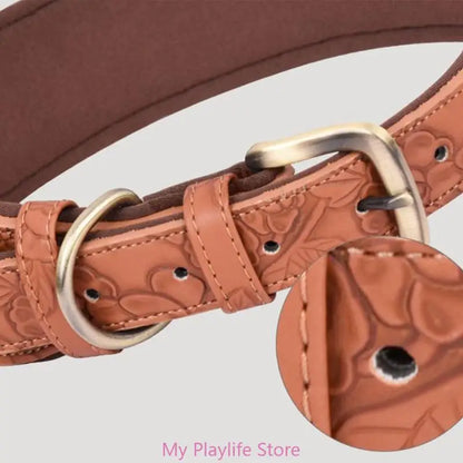 Collier chien cuir | Élégance Confort