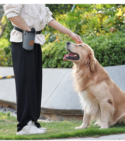 Sac pour chien DogLemi