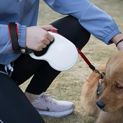 Laisse mains libres pour chiens | Ultra-résistante