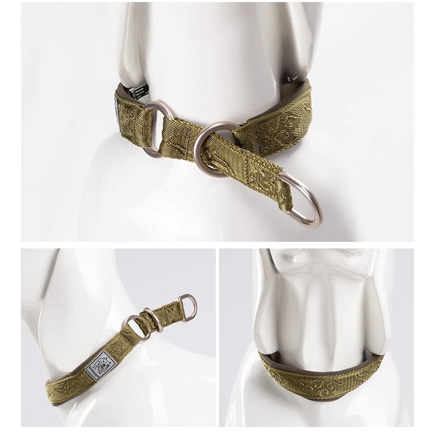 Collier de dressage pour chien- TRUELOVE P-chain