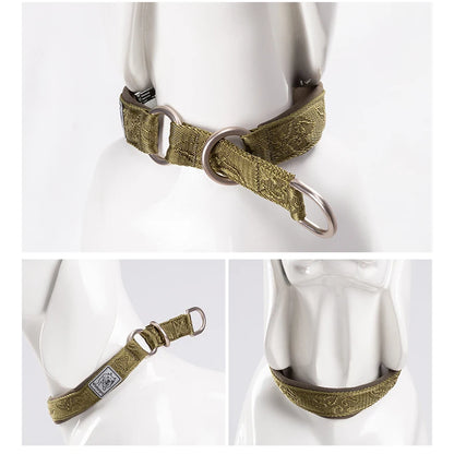 Collier de dressage pour chien- TRUELOVE P-chain