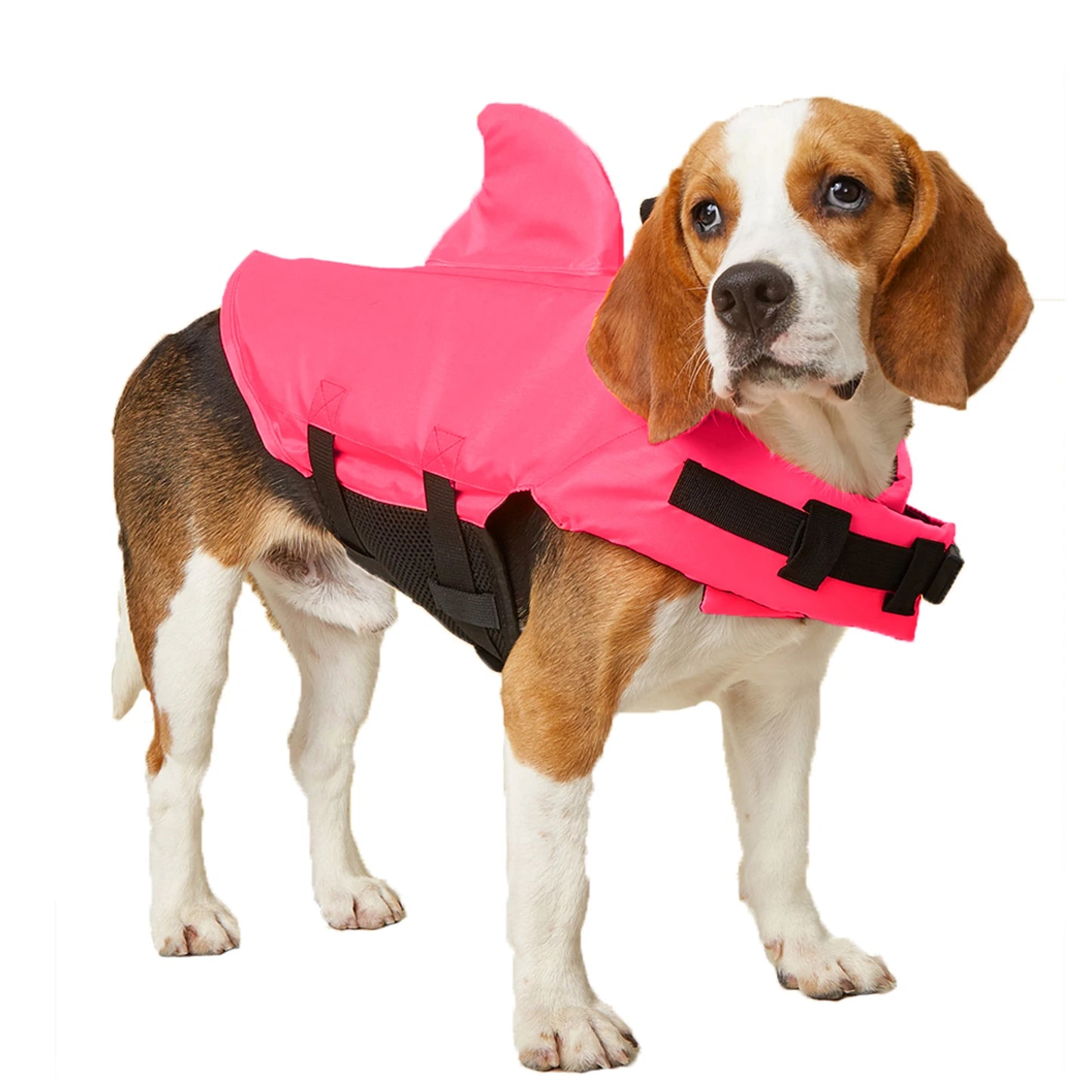 Gilet de sauvetage chien- Dogs Surfing