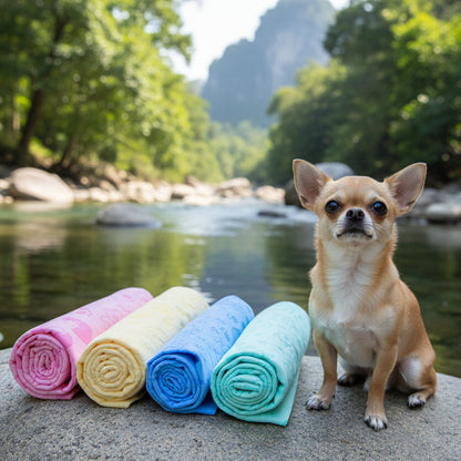 serviette pour chien | Ultra-Absorbante Coton