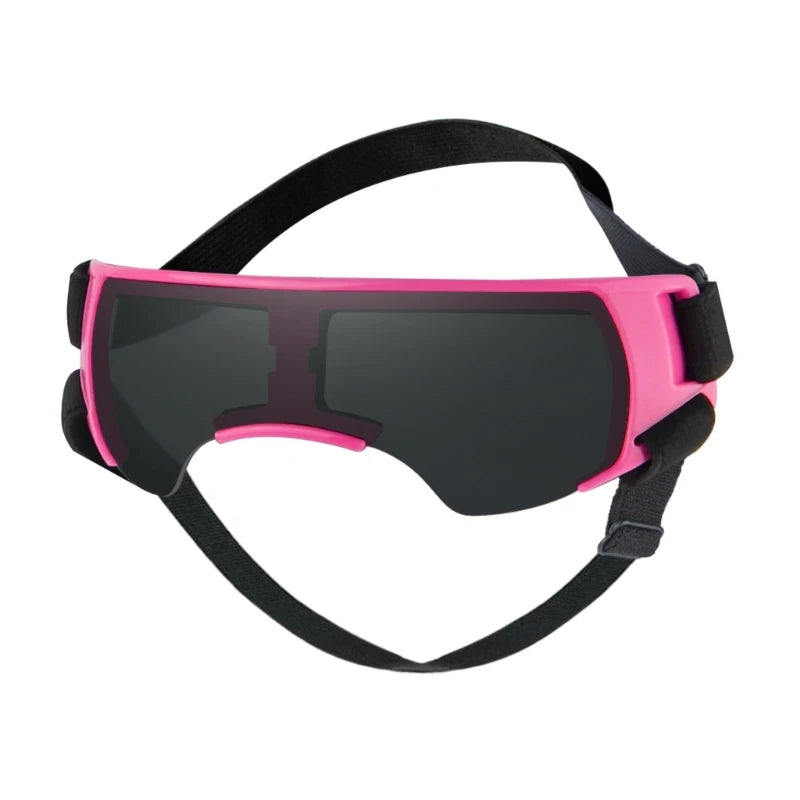 Lunettes pour chien | Protection UV Style