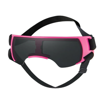 Lunettes pour chien | Protection UV Style