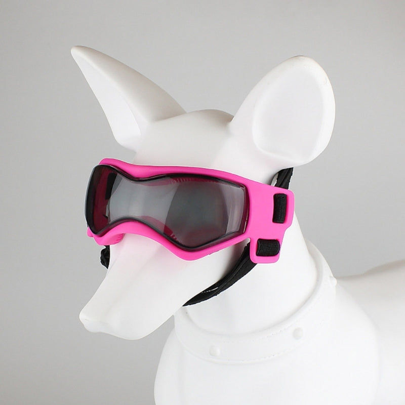 Lunettes pour chien | Protection UV Style