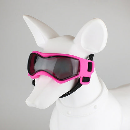 Lunettes pour chien | Protection UV Style