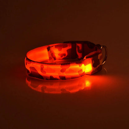 Collier chien lumineux-Camouflage LED