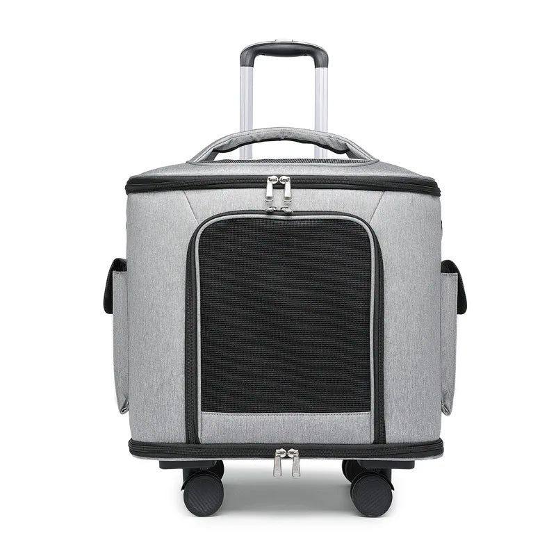 Caisse de transport chien- Suitcase Portable Travel