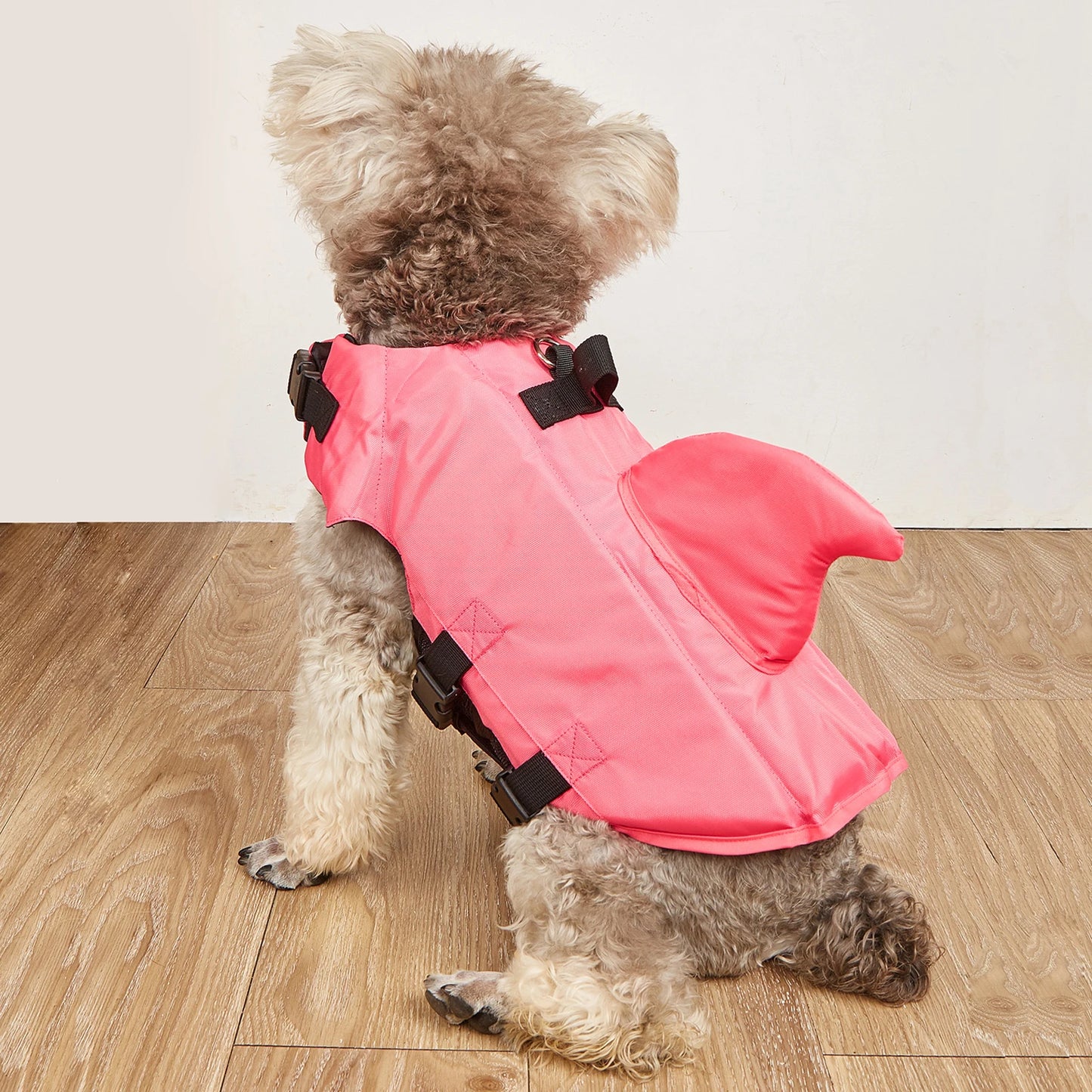 Gilet de sauvetage chien- Dogs Surfing