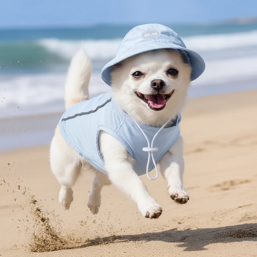 Gilet rafraichissant chien | Duo pull casquette