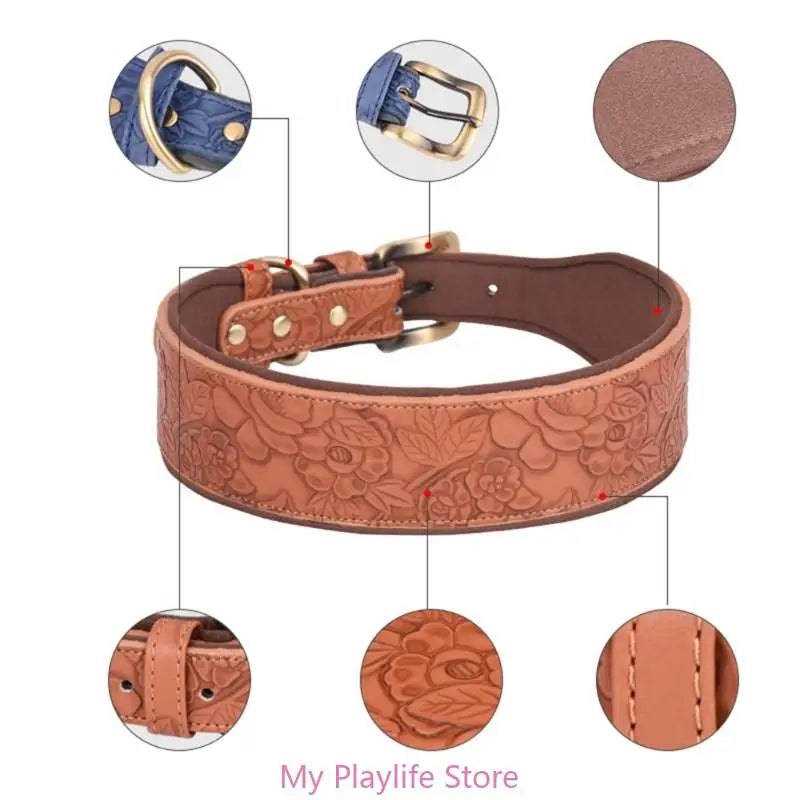 Collier chien cuir | Élégance Confort