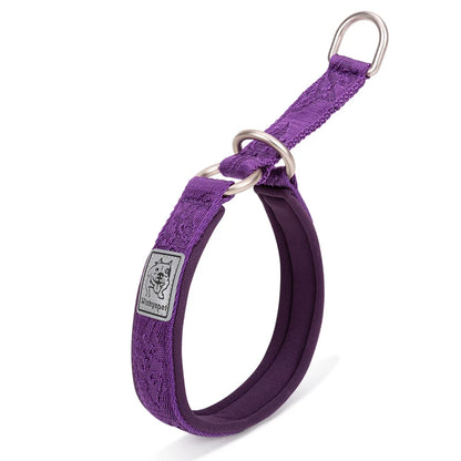 Collier de dressage pour chien- TRUELOVE P-chain