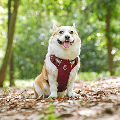 Harnais chien-Waterproof PU