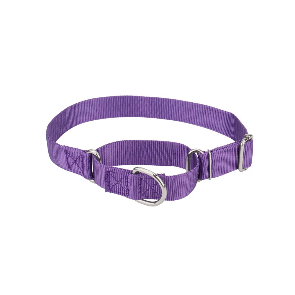 Collier de dressage pour chien- Martingale Plus