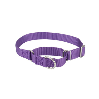 Collier de dressage pour chien- Martingale Plus