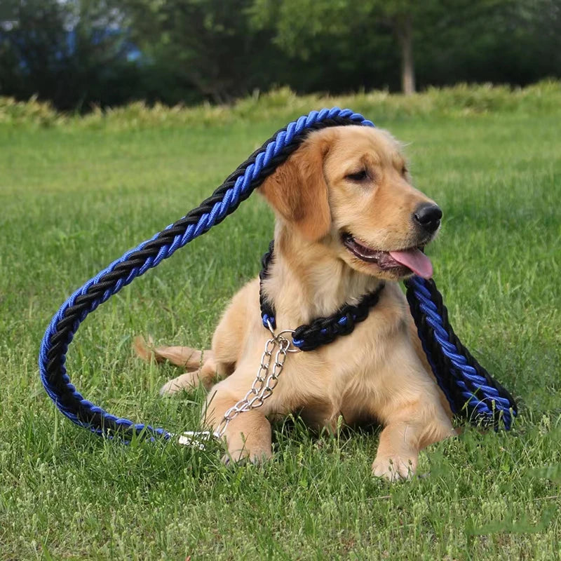 Laisse de chien- HATELI Rope