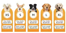 Chaussette pour chien | PattProtect