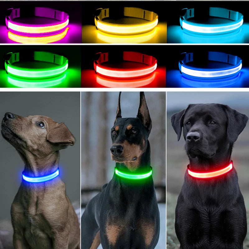 Collier lumineux chien- COOYOMOO