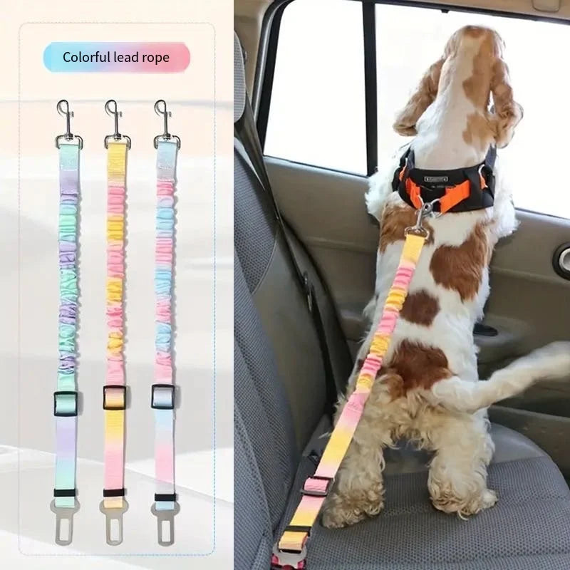 Laisse pour chien- Absorption choc pour voiture