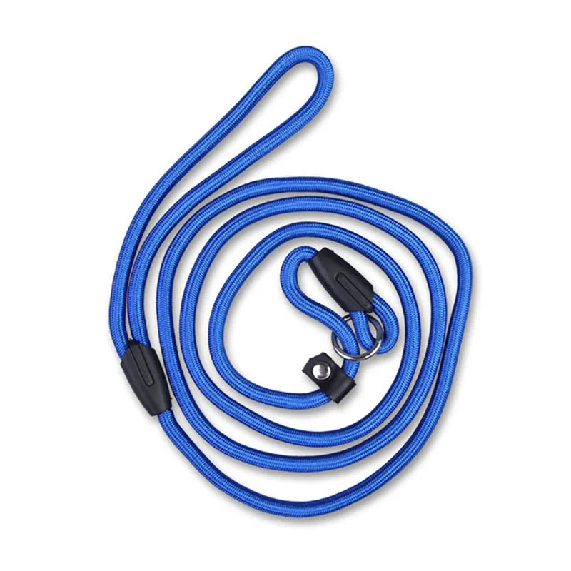 Laisse pour chien- Dog Strap Rope