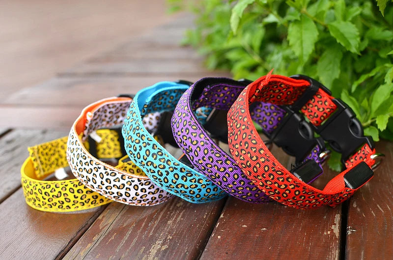 Collier chien lumineux-Léopard LED