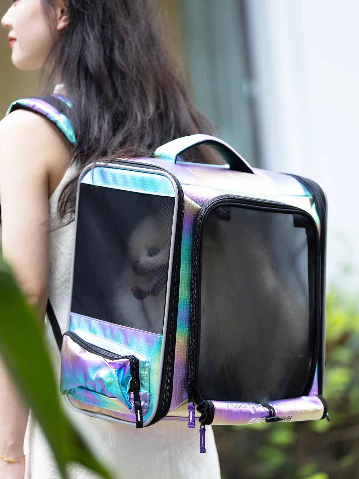Sac a dos pour chien- EDENPETZ Fashion