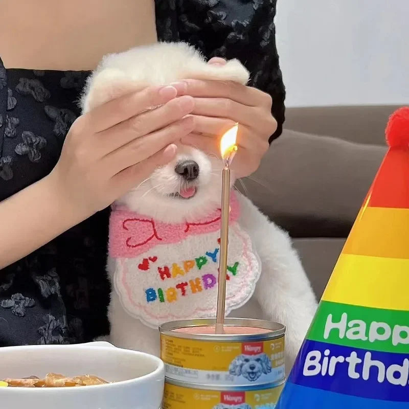 Bandana+ Chapeau Festif pour Chien | Anniversaire Mémorable