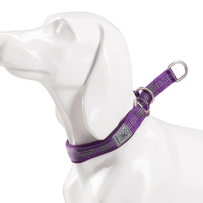 Collier de dressage pour chien- TRUELOVE P-chain