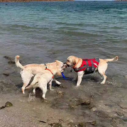 Gilet de sauvetage pour chien- Buoyancy