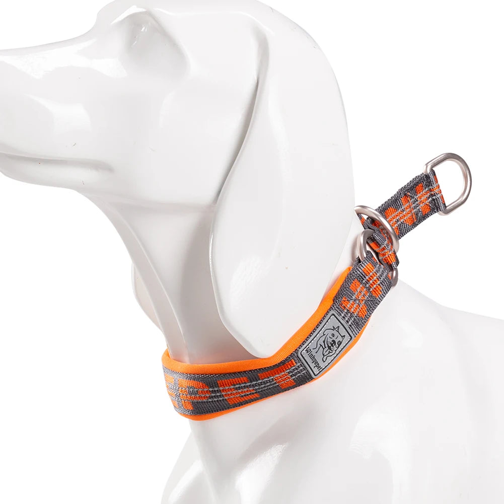 Collier de dressage pour chien- TRUELOVE P-chain