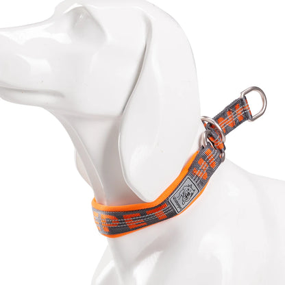 Collier de dressage pour chien- TRUELOVE P-chain