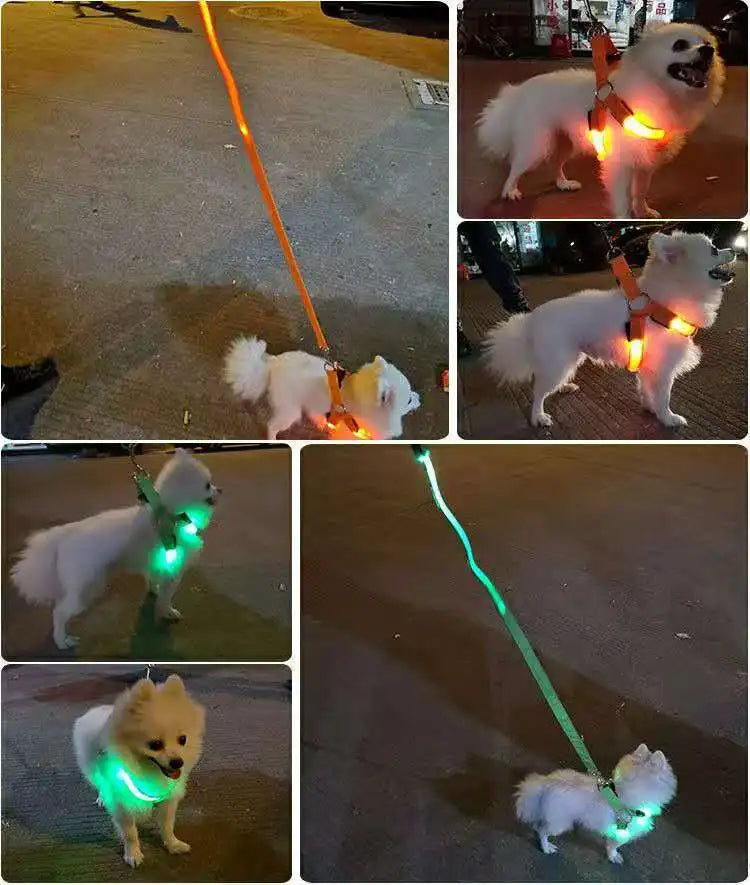 Harnais chien anti traction | Lumineux LED