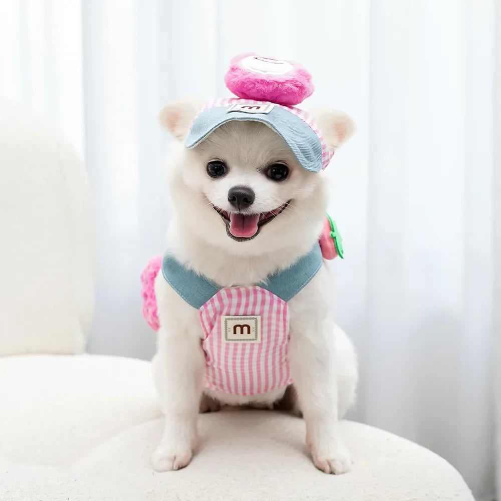 Harnais pour petit chien | Confort Premium